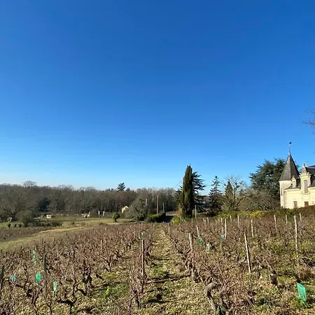 Frühstückspension Domaine Lainault - Jasnieres