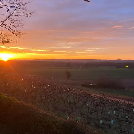 Domaine Lainault - Jasnieres Frühstückspension