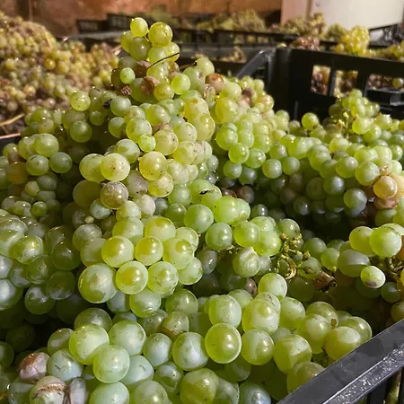 Domaine Lainault - Jasnieres Frühstückspension