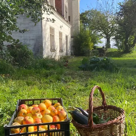 Domaine Lainault - Jasnieres 3* Lhomme