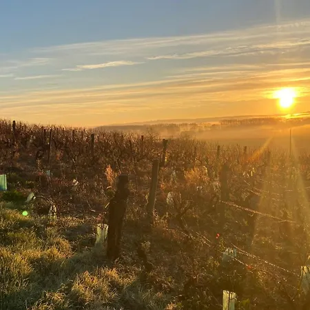 Frühstückspension Domaine Lainault - Jasnieres 3*